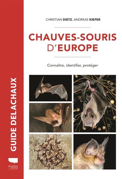 Batte De Baseball Victus 32 Pouces En Bois - Liège - Modèle 2024 - Blanc