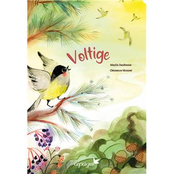 Voltige - 1