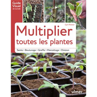 Calendrier des semis et bouturages des fleurs et arbustes