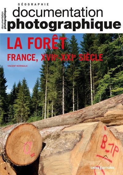 La forêt - France, XVIIe-XXIe siècle DP numéro 8150 - Vincent Moriniaux - broché