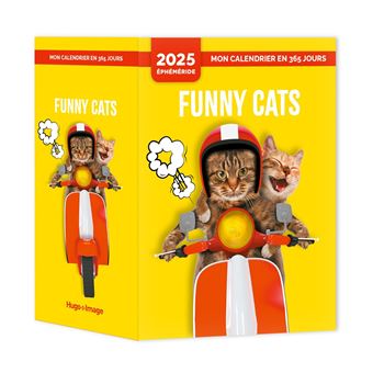 Mon calendrier 2025 - Funny cats - 1