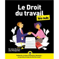 Le Droit du travail Pour les Nuls, 5e