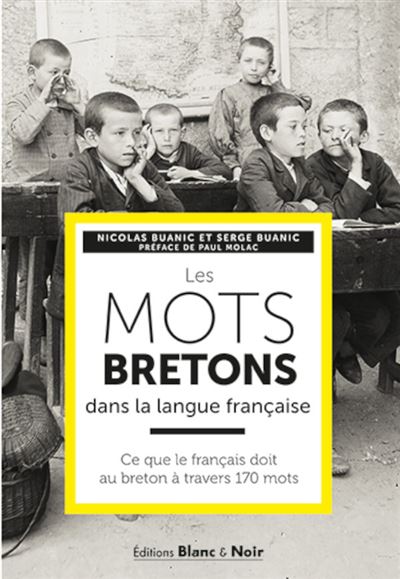 Les mots bretons dans la langue française Ce que le français doit au breton à travers 170 mots - Serge Buanic - Blanc Et Noir - broché - Dictionnaire et encyclopédie