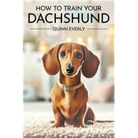 Quinn Everly – Livres, BD, Ebooks et prix des produits Quinn Everly | Fnac