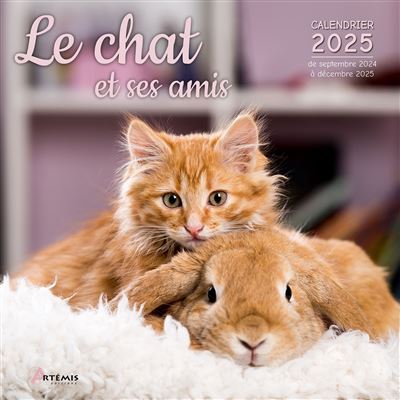photo de l'objet