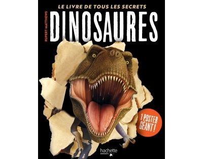 Dinosaures - Le livre de tous les secrets - Rupert Matthews - cartonné