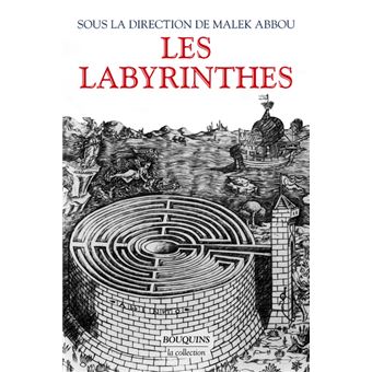 couverture de : Les labyrinthes