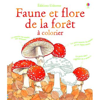 Faune et flore de la forêt à colorier - 1
