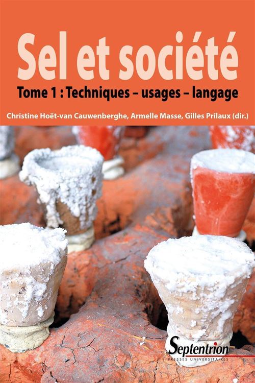 Sel et société - Tome 1 - Christine Hoët-Van Cauwenberghe - broché