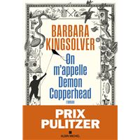 On m'appelle Demon Copperhead - Prix Pulitzer