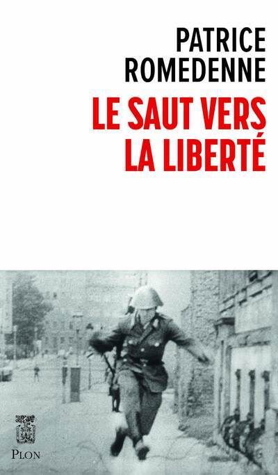 Le saut vers la liberté - Patrice Romedenne - Plon - broché - Roman