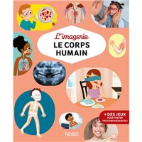 L'imagerie - Le corps humain