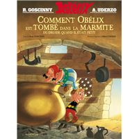 COMMENT OBELIX EST TOMBE DANS LA MARMITE DU DRUIDE QUAND IL