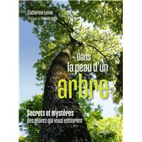 Dans la peau d'un arbre : Secrets et mystères des géants qui vous entourent