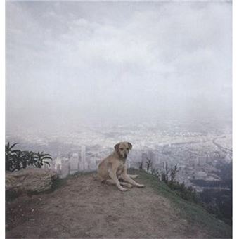 Alec Soth Dog Days Bogota /anglais - relié - Alec Soth - Achat