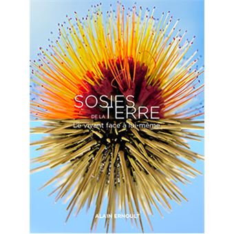 Sosies de la terre - 1