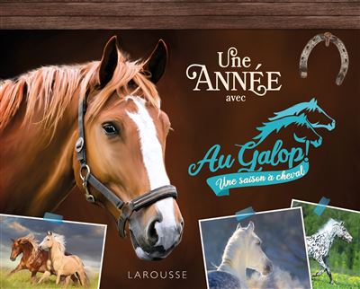 Une année avec AU GALOP - Collectif - Larousse - cartonné - Ephéméride - Larousse