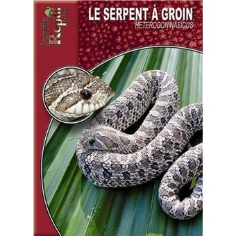 Le serpent à groin - heterodon nasicus - 1