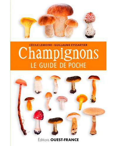 Guide des champignons - Cdiscount Librairie