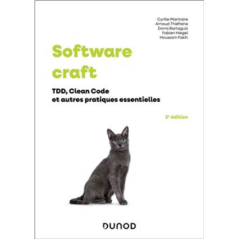 Software craft