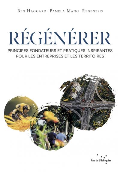 Régénérer - Principes fondateurs et pratiques inspirantes po - Ben Haggard - Rue De L'echiquier - broché - Etude - Rue De L'echiquier