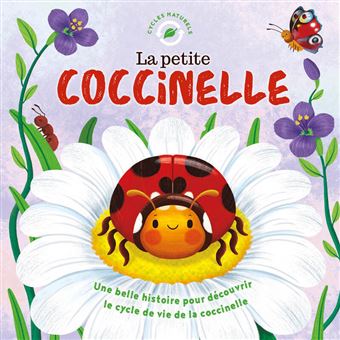 La petite coccinelle - 1