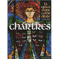 Livre REIMS - La Grâce D'une Cathédrale | Beau Livre Illustré Sur La Cathédrale De Reims