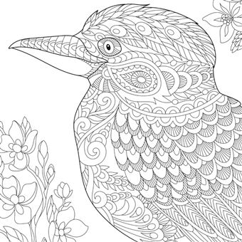 oiseau dessiné à la main pour livre de coloriage adulte 12079274