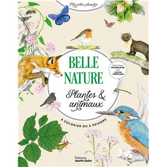 CHICAMPERA 20pièces Kit Pingouins Mousse Pour Décoration Et