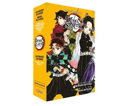 Coffret Demon Slayer T15 + Roman jeunesse T06