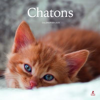 photo de l'objet
