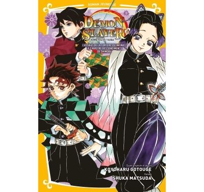 Demon Slayer - Roman jeunesse T06