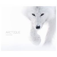 Arctique
