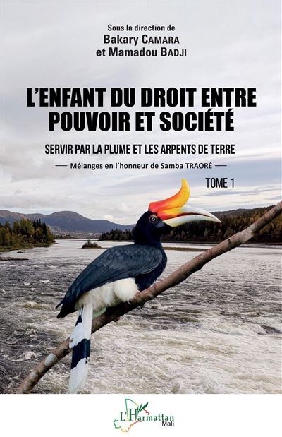 L'enfant du droit entre pouvoir et societe Tome 1