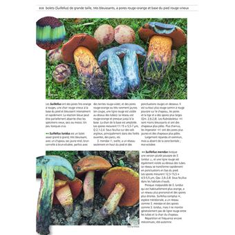 Guide des 60 meilleurs champignons comestibles - broché - Guillaume  Eyssartier, Pierre Roux, Livre tous les livres à la Fnac