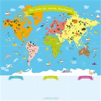 Carte du Monde magnétique – Janod - Grenier d'enfance