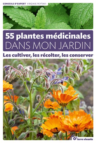 55 plantes médicinales dans mon jardin