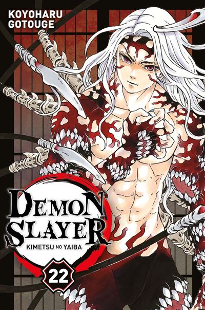 Vol.22 Demon Slayer