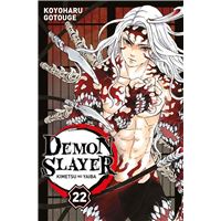 Demon Slayer - Tome 22 : Demon Slayer T22