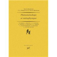 Être et représentation Une généalogie de la métaphysique moderne à