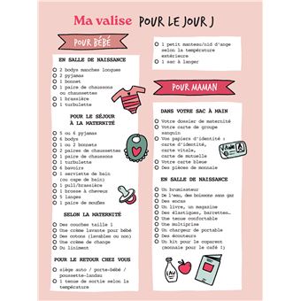 Livre : Mon Carnet De Grossesse - Journal à Compléter - Neuf - Éditions Filisa