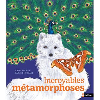 Incroyables métamorphoses - 1