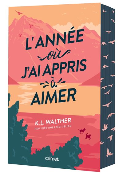 L'année où j'ai appris à aimer - K.L. Walther (2025)