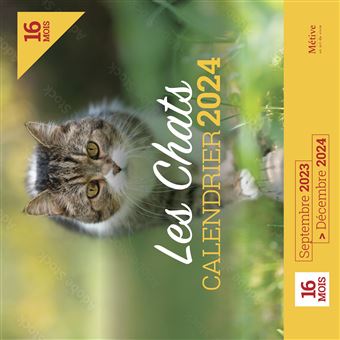 Calendrier mural chats et chatons 2024 - broché - Collectif - Achat Livre