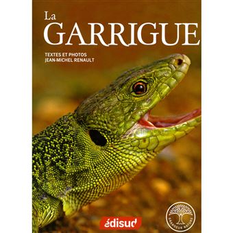 La garrigue - 1