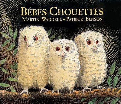 couverture de : B&eacute;b&eacute;s chouettes