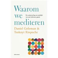 Waarom we mediteren