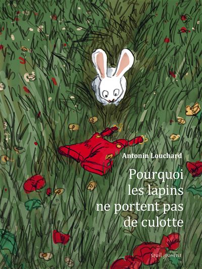 Pourquoi les lapins ne portent pas de culotte  ? - Antonin Louchard - cartonné