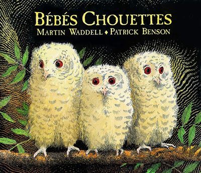 Bébés Chouettes - 1