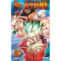 Dr. Stone